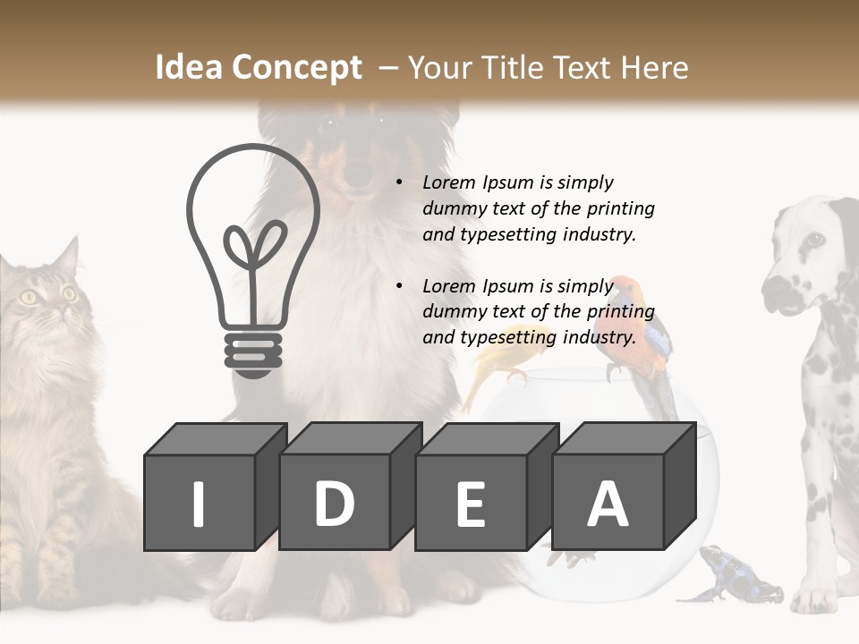 Animal Domestic Animal Fish PowerPoint Template