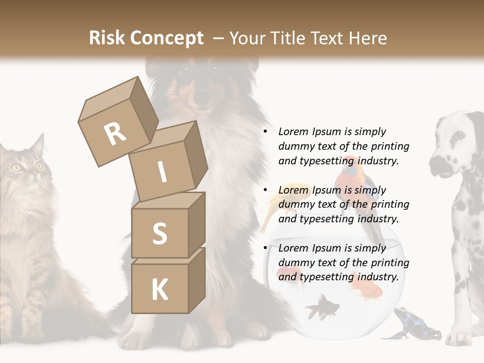 Animal Domestic Animal Fish PowerPoint Template