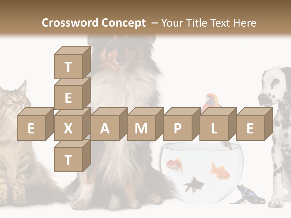 Animal Domestic Animal Fish PowerPoint Template