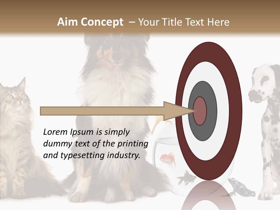 Animal Domestic Animal Fish PowerPoint Template