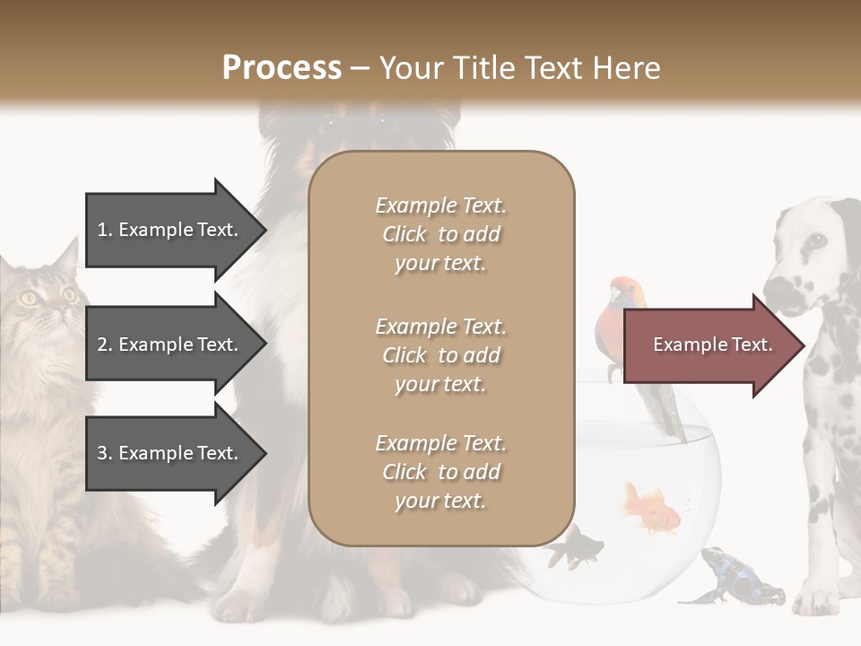 Animal Domestic Animal Fish PowerPoint Template