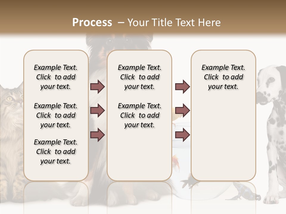 Animal Domestic Animal Fish PowerPoint Template