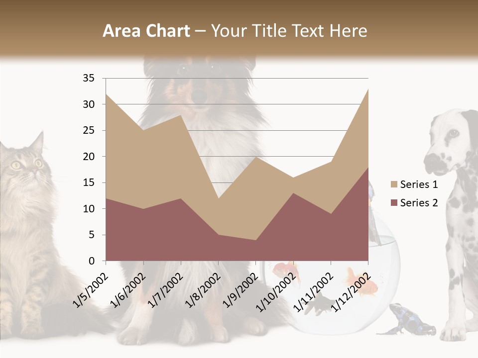 Animal Domestic Animal Fish PowerPoint Template