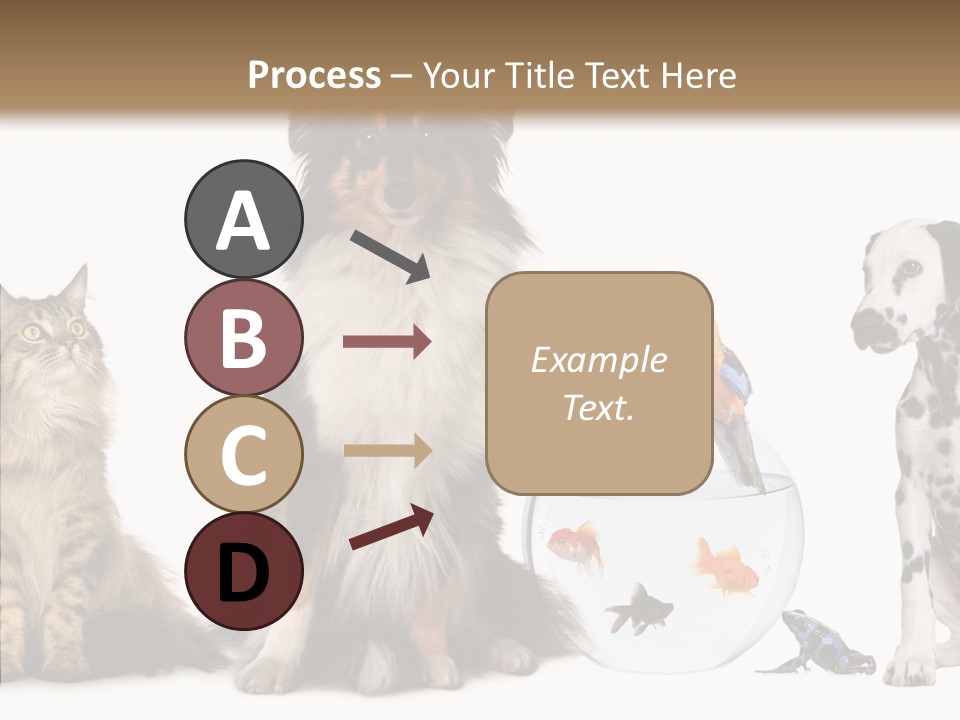 Animal Domestic Animal Fish PowerPoint Template