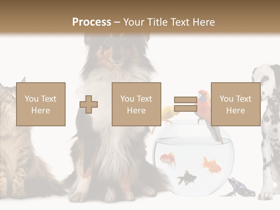 Animal Domestic Animal Fish PowerPoint Template