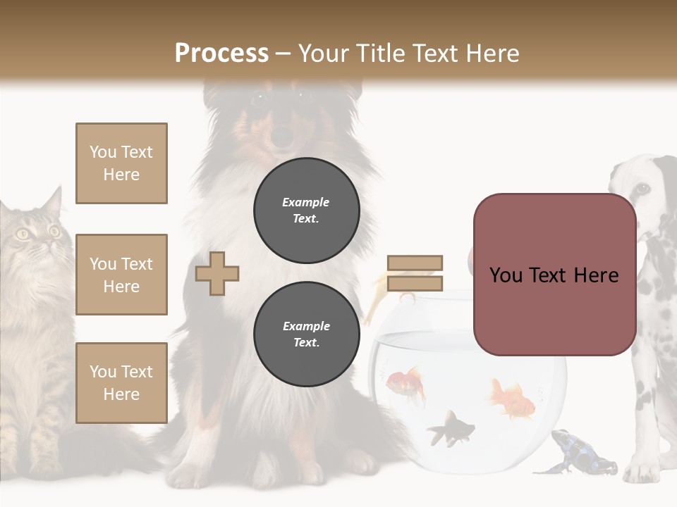 Animal Domestic Animal Fish PowerPoint Template