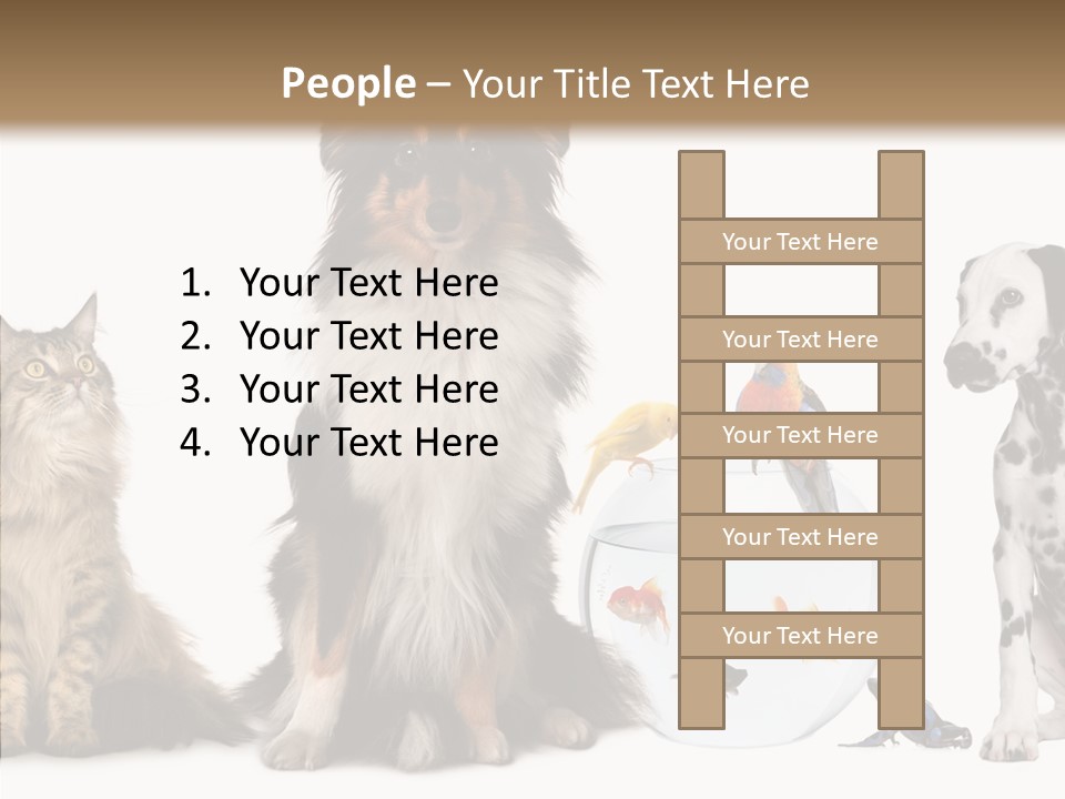 Animal Domestic Animal Fish PowerPoint Template