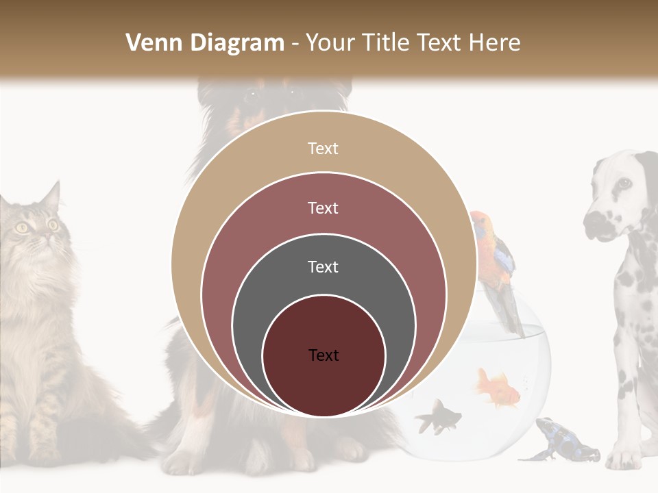 Animal Domestic Animal Fish PowerPoint Template