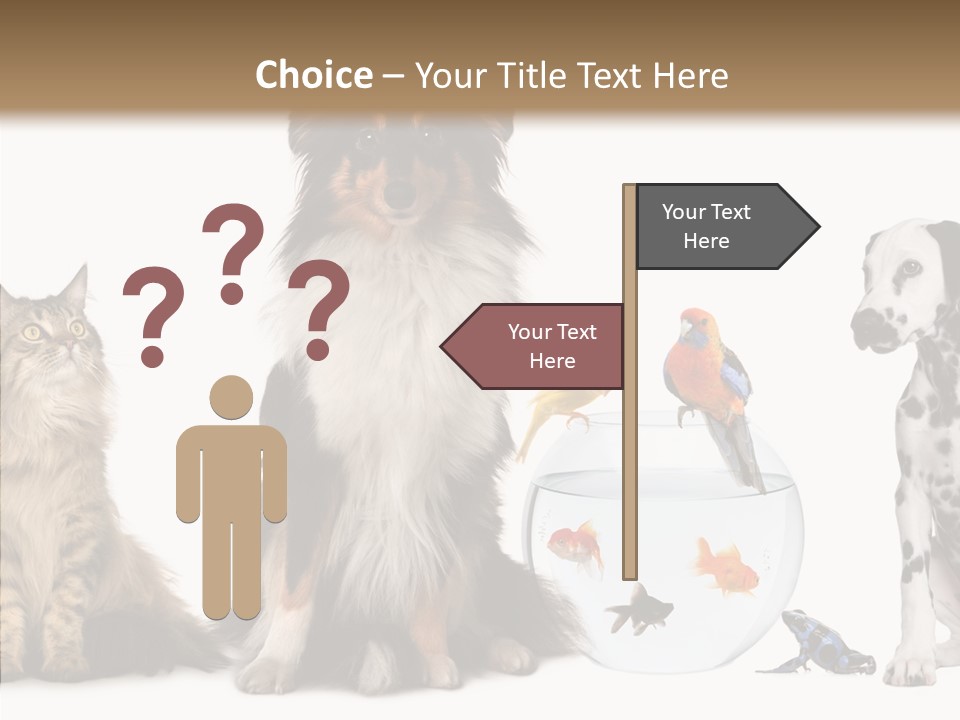 Animal Domestic Animal Fish PowerPoint Template