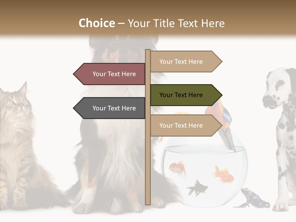 Animal Domestic Animal Fish PowerPoint Template