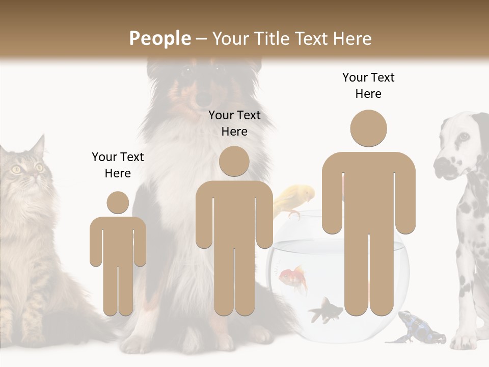 Animal Domestic Animal Fish PowerPoint Template