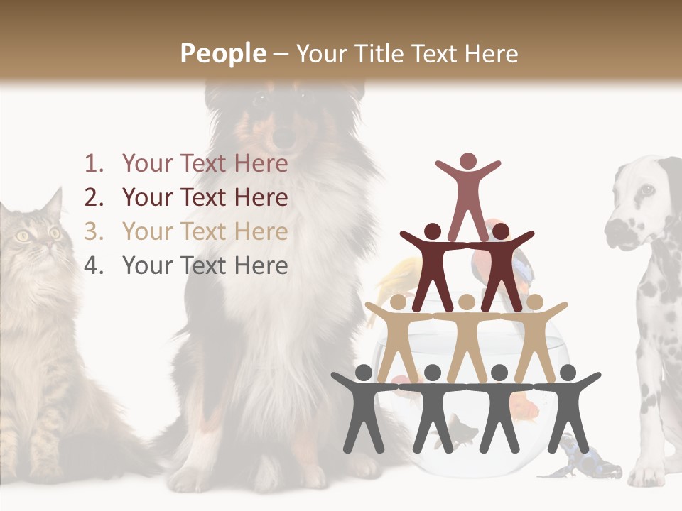 Animal Domestic Animal Fish PowerPoint Template