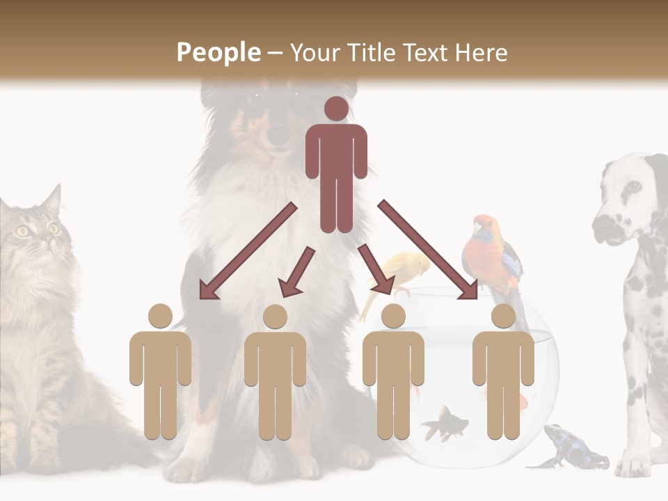 Animal Domestic Animal Fish PowerPoint Template