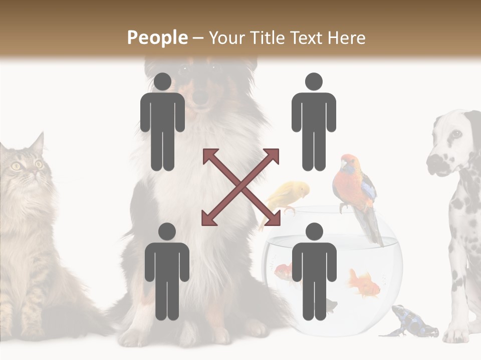 Animal Domestic Animal Fish PowerPoint Template