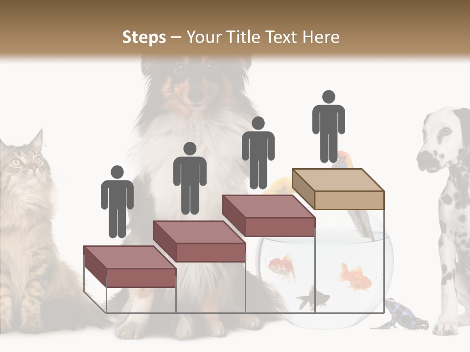 Animal Domestic Animal Fish PowerPoint Template