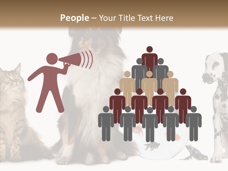 Animal Domestic Animal Fish PowerPoint Template