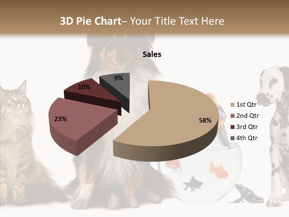 Animal Domestic Animal Fish PowerPoint Template