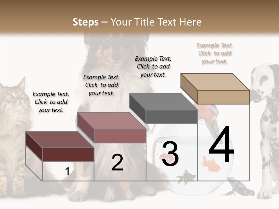 Animal Domestic Animal Fish PowerPoint Template