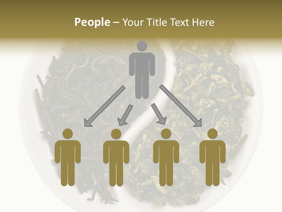 Shape Ingredient China PowerPoint Template