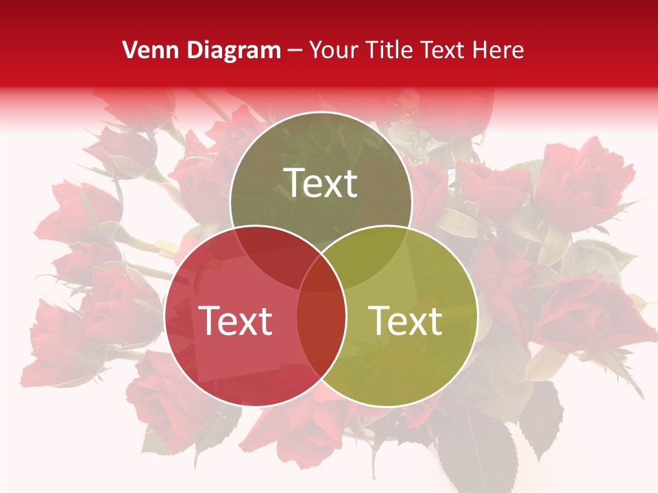 Beautiful Beauty Celebration PowerPoint Template