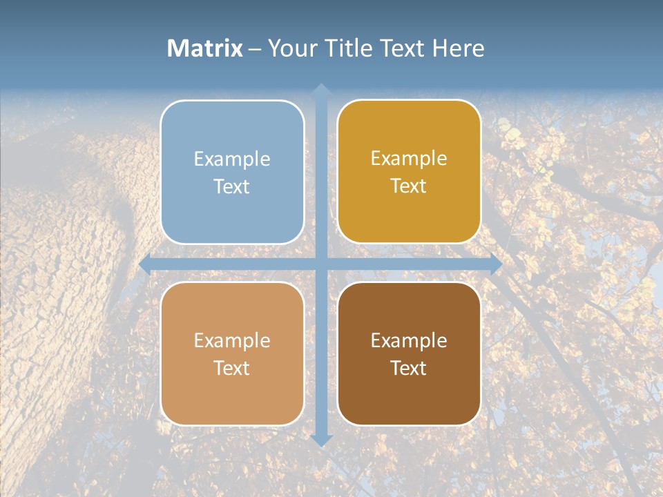 Orange Beautiful Cork PowerPoint Template