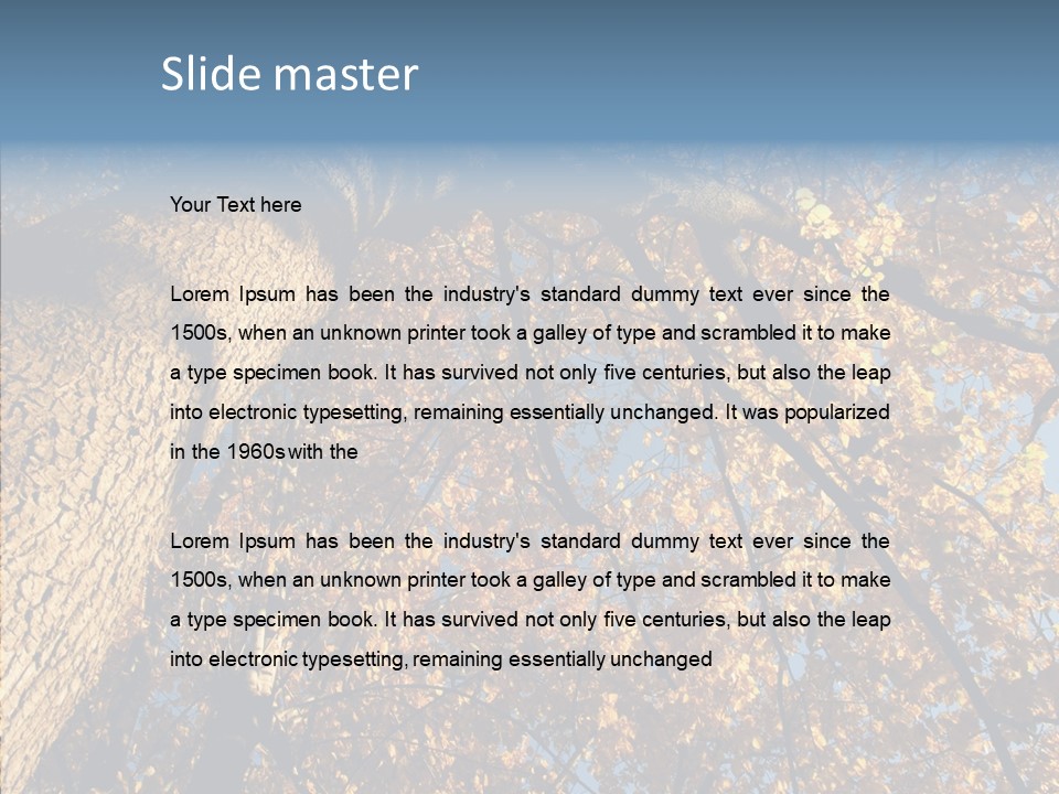 Orange Beautiful Cork PowerPoint Template