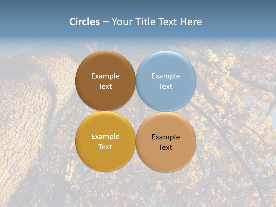 Orange Beautiful Cork PowerPoint Template