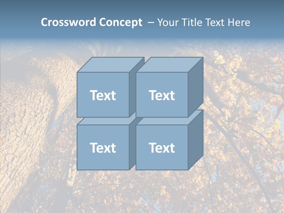 Orange Beautiful Cork PowerPoint Template