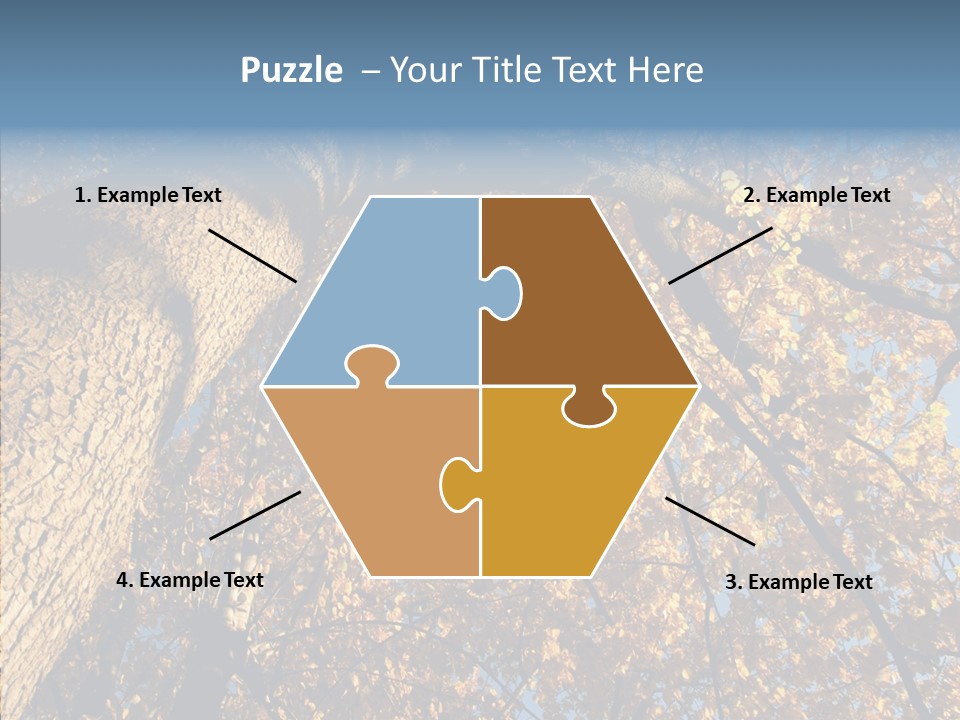 Orange Beautiful Cork PowerPoint Template