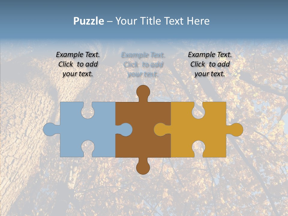 Orange Beautiful Cork PowerPoint Template