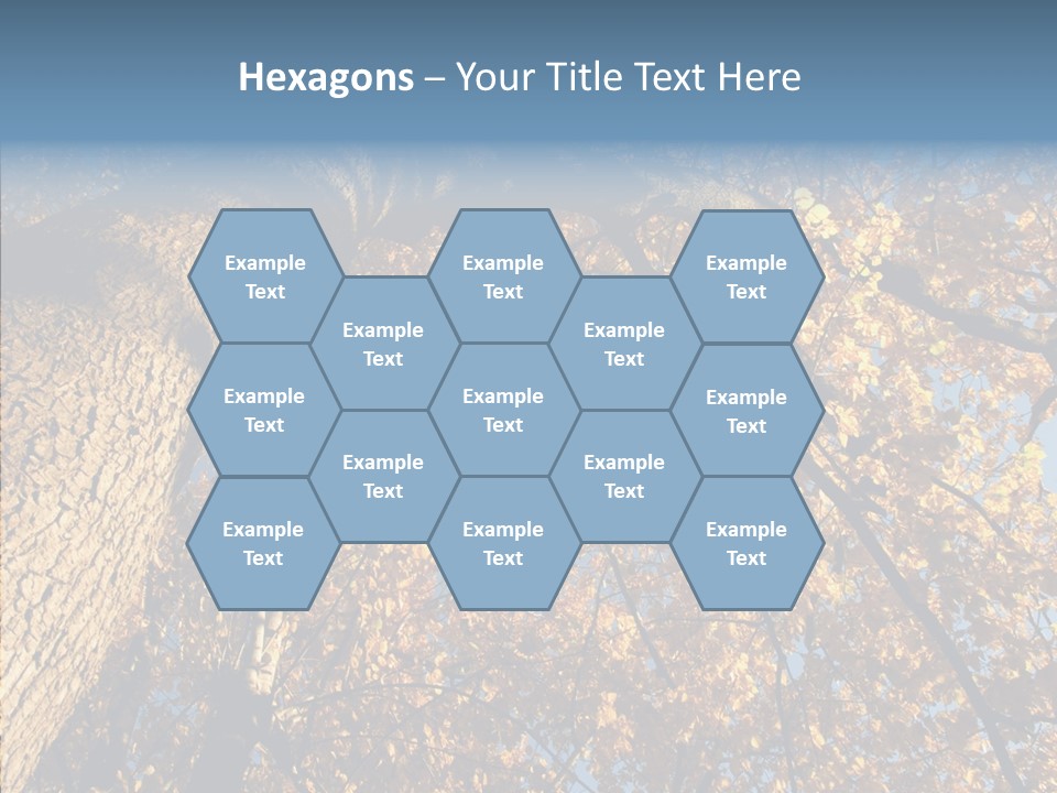 Orange Beautiful Cork PowerPoint Template