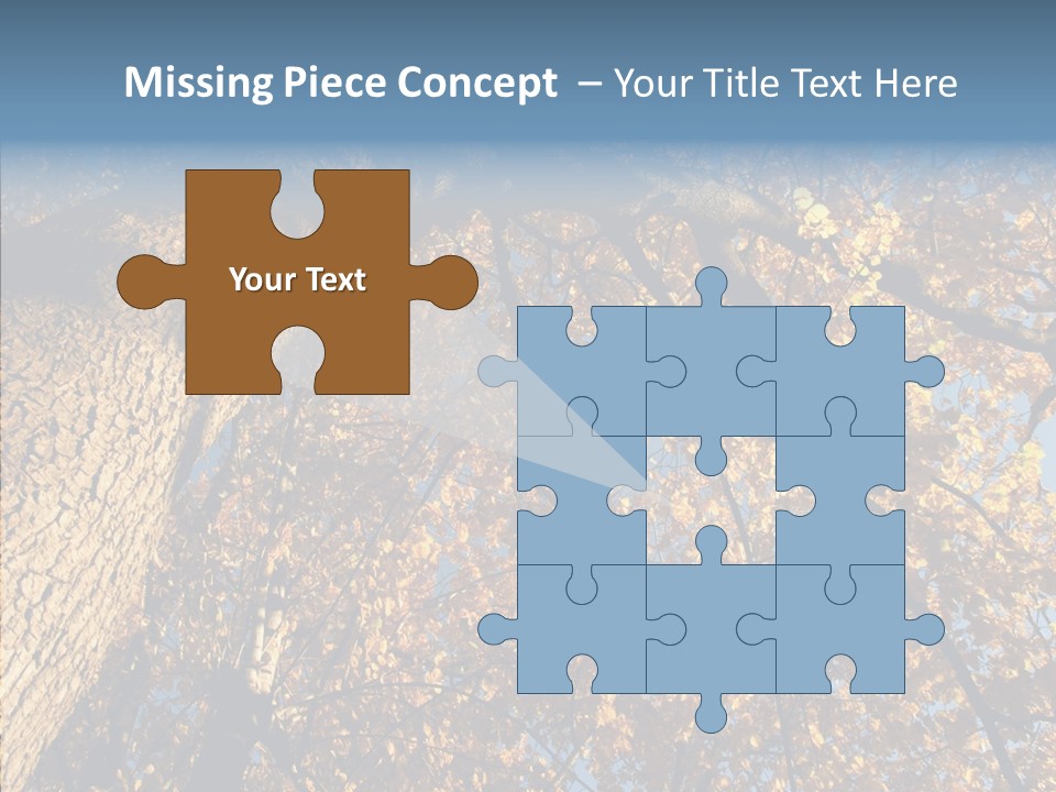 Orange Beautiful Cork PowerPoint Template