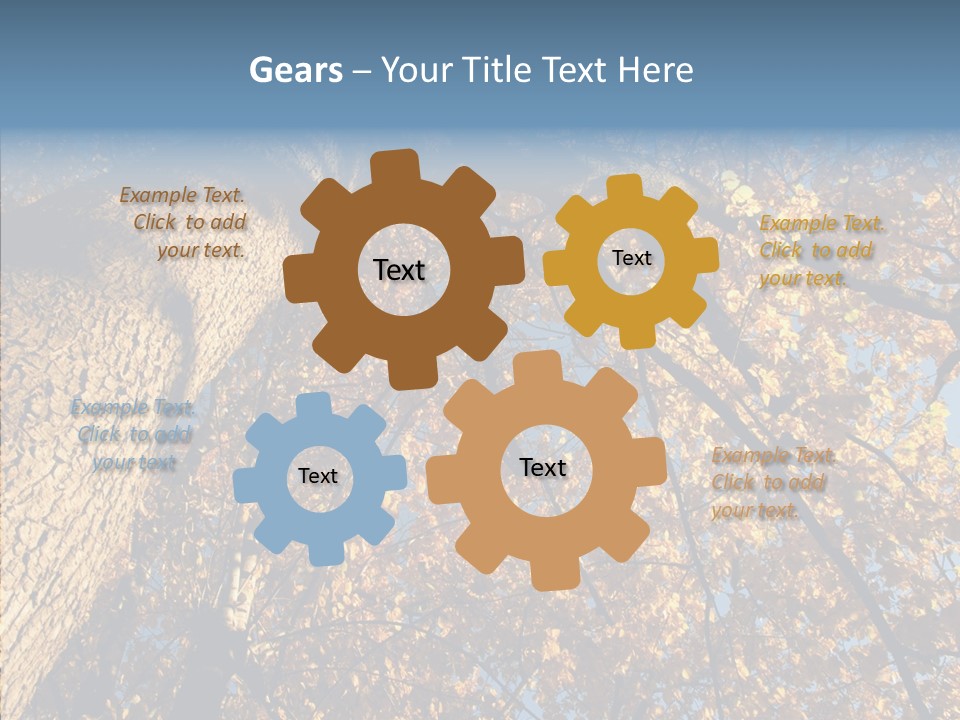 Orange Beautiful Cork PowerPoint Template