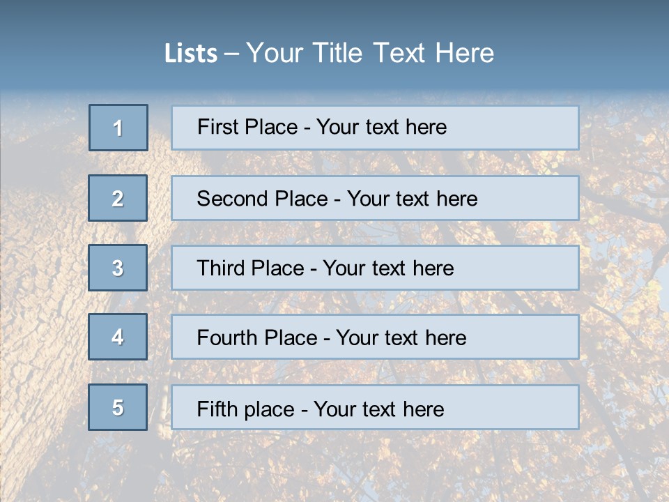Orange Beautiful Cork PowerPoint Template