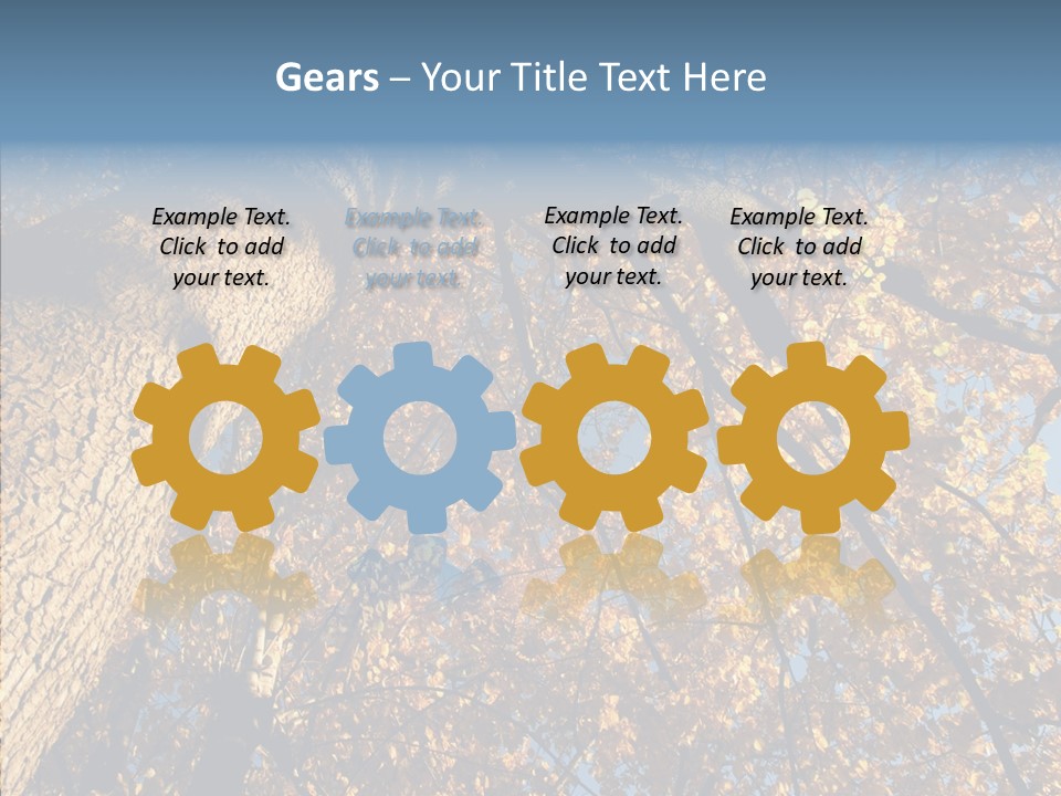 Orange Beautiful Cork PowerPoint Template