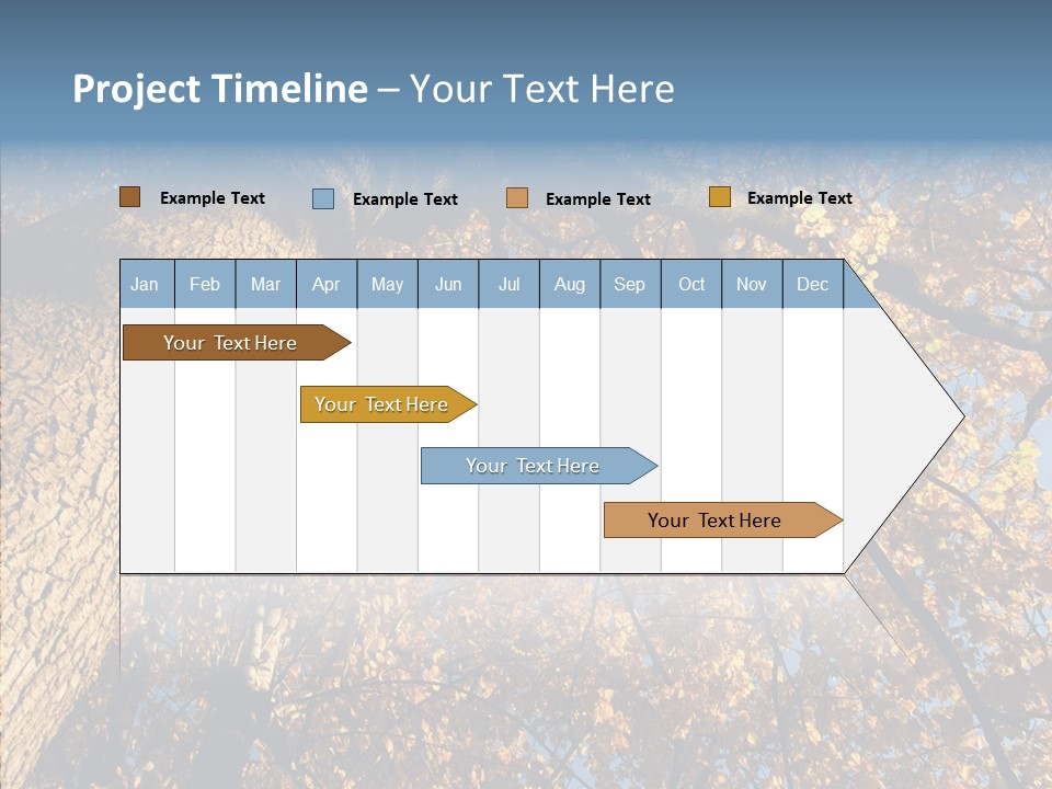 Orange Beautiful Cork PowerPoint Template