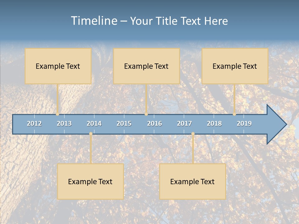 Orange Beautiful Cork PowerPoint Template