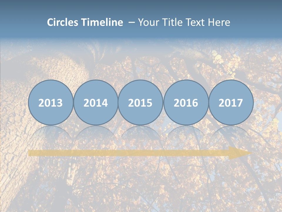 Orange Beautiful Cork PowerPoint Template