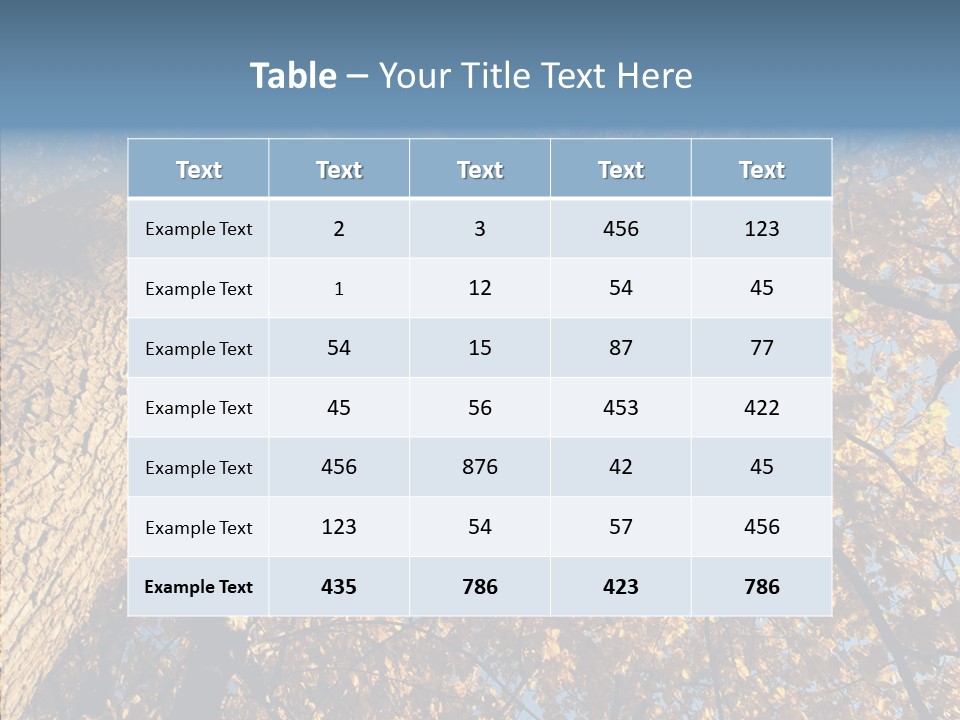 Orange Beautiful Cork PowerPoint Template