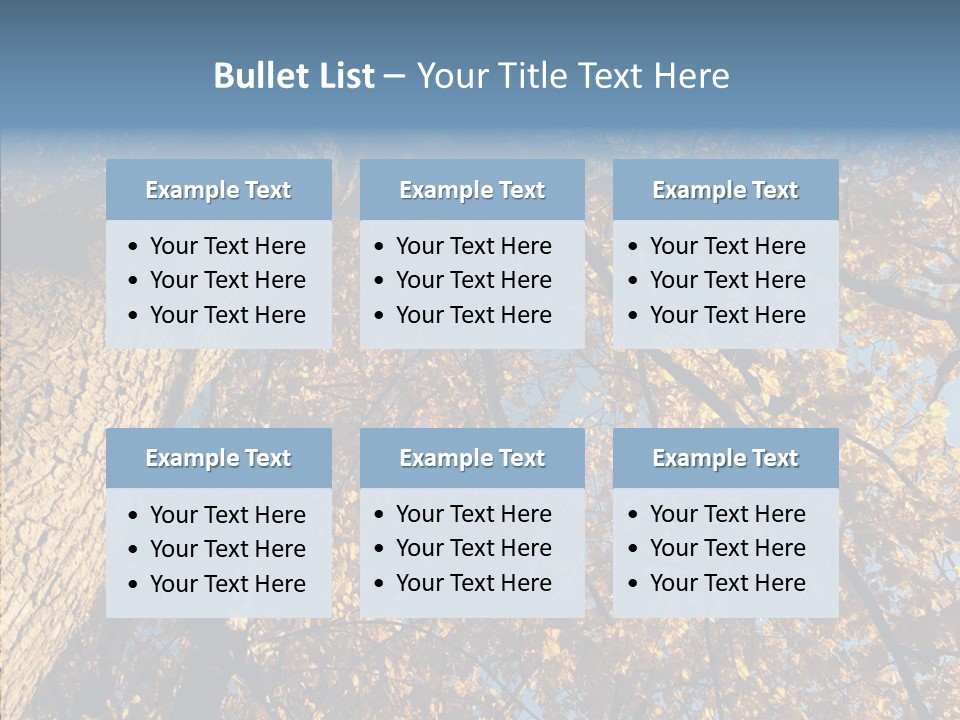 Orange Beautiful Cork PowerPoint Template