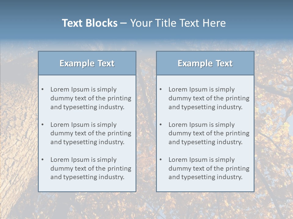 Orange Beautiful Cork PowerPoint Template