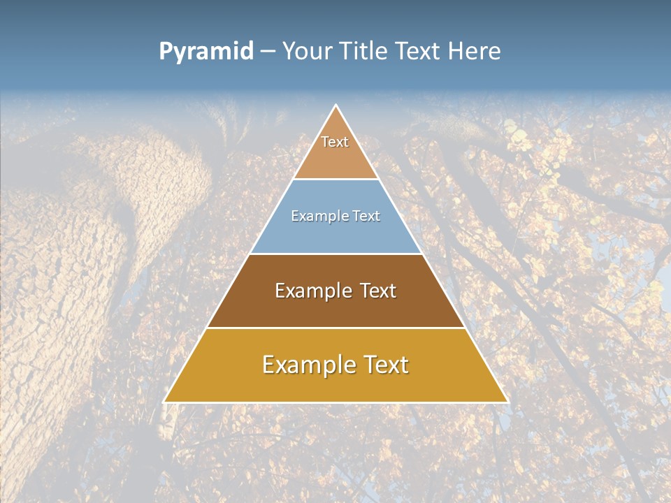 Orange Beautiful Cork PowerPoint Template