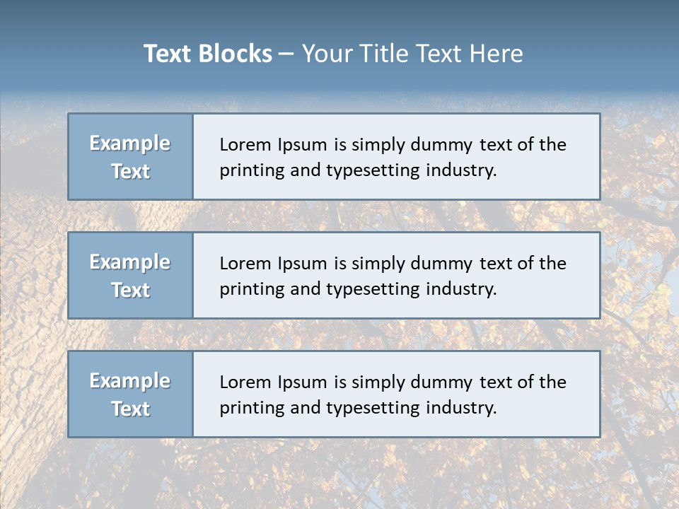 Orange Beautiful Cork PowerPoint Template