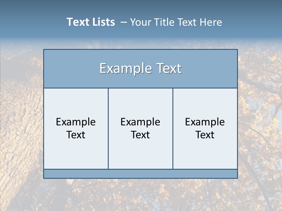 Orange Beautiful Cork PowerPoint Template