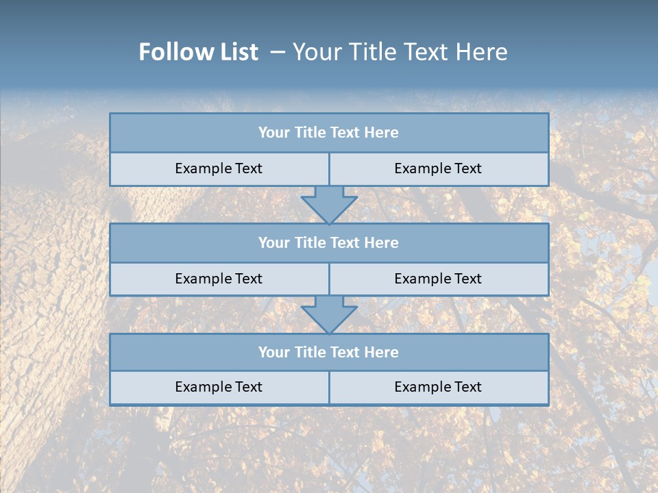 Orange Beautiful Cork PowerPoint Template