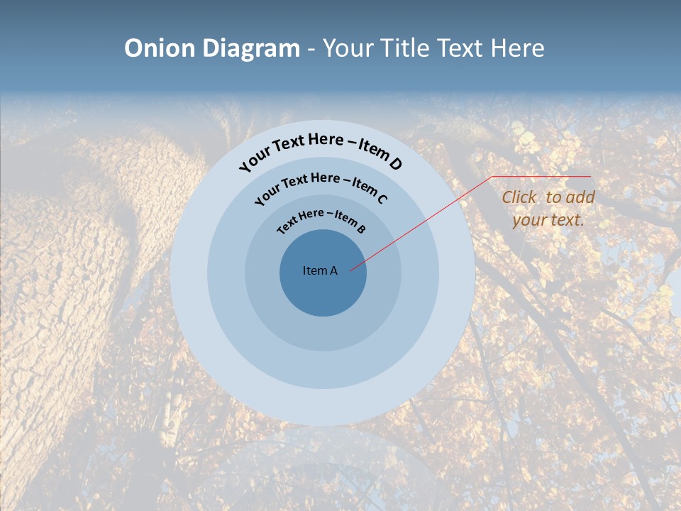 Orange Beautiful Cork PowerPoint Template