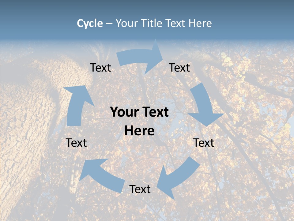 Orange Beautiful Cork PowerPoint Template