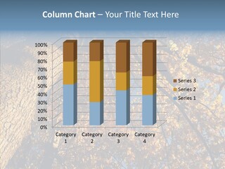 Orange Beautiful Cork PowerPoint Template