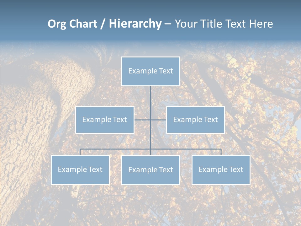 Orange Beautiful Cork PowerPoint Template