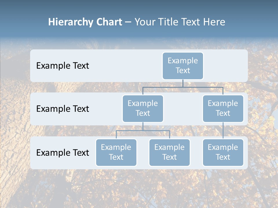 Orange Beautiful Cork PowerPoint Template